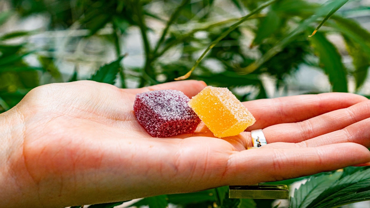 Explore the benefits of the best CBD gummies in Canada