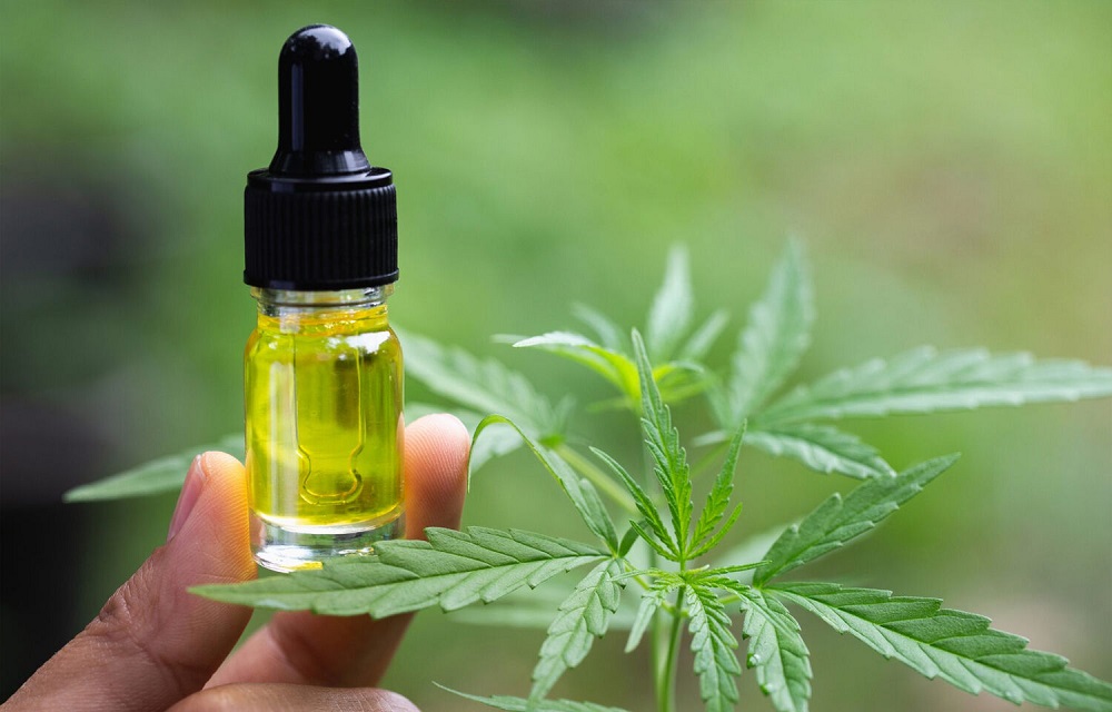 The Ultimate Beginner’s Guide To CBD Oil: What You Need To Know
