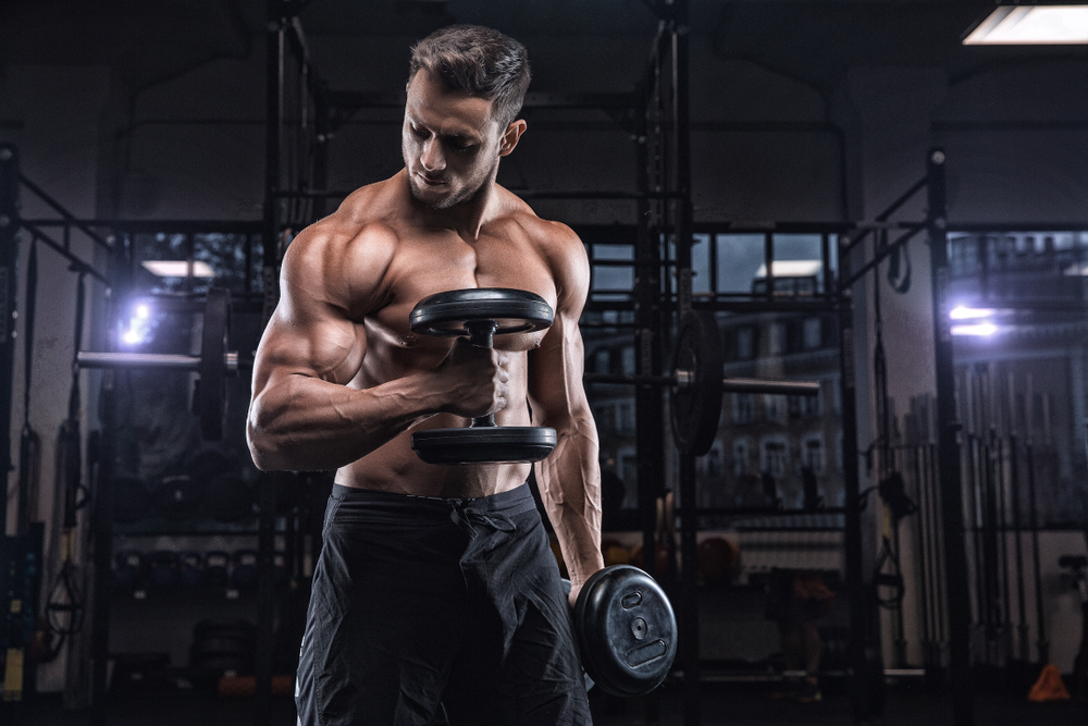TOP THINGS YOU MUST UNDERSTAND ABOUT BODYBUILDING