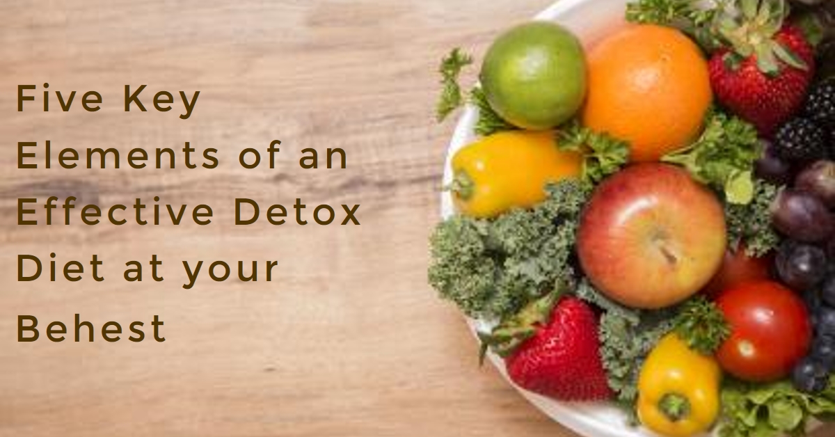 Five Key Elements of an Effective Detox Diet at your Behest 