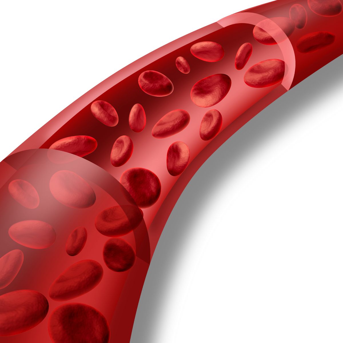 Haematology and Biochemistry: The Two Pillars of Blood Analysis