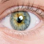 Eye-Surgery