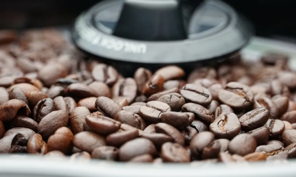Organic rwandan coffee – A blend of tradition and innovation