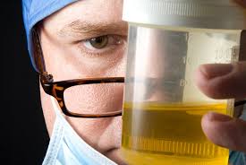 Synthetic urine kits – What are they, and how do they work?